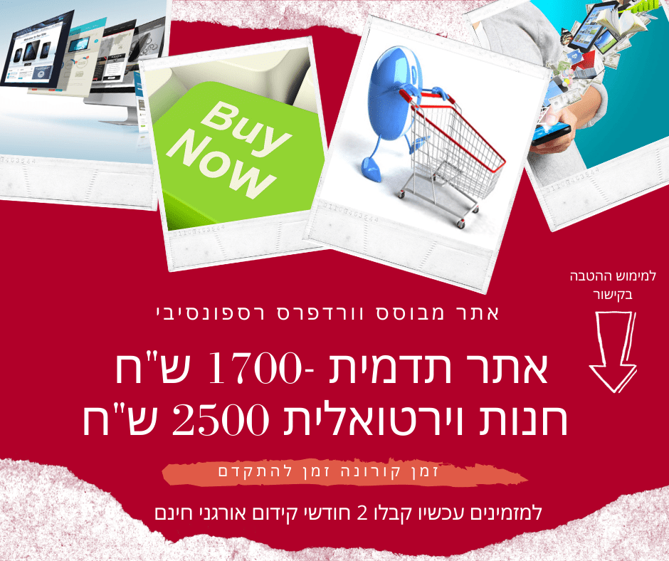 בניית אתרים