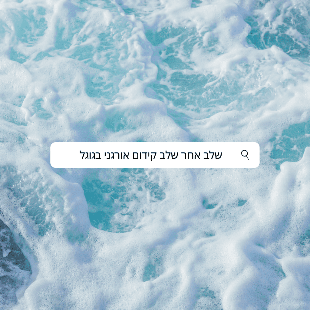 אבני דרך ל-seo