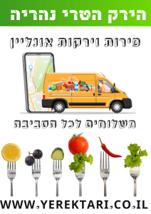 באנרים לפרסום